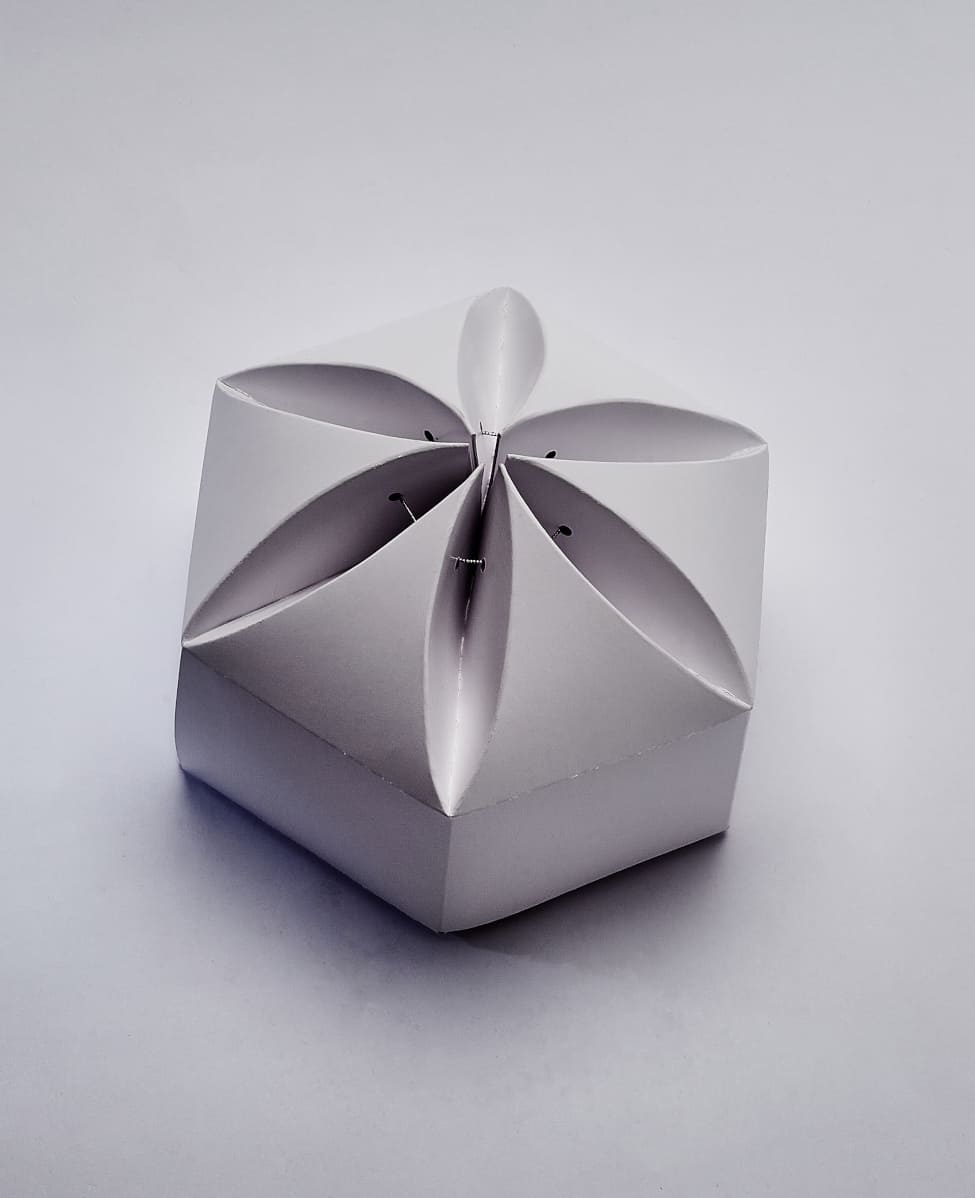 Empaque Hexagonal Tipo Flor